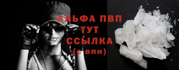 крисы Медвежьегорск