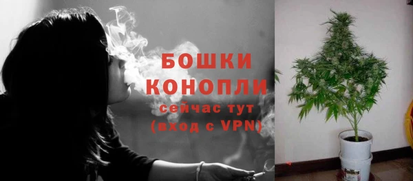 крисы Медвежьегорск